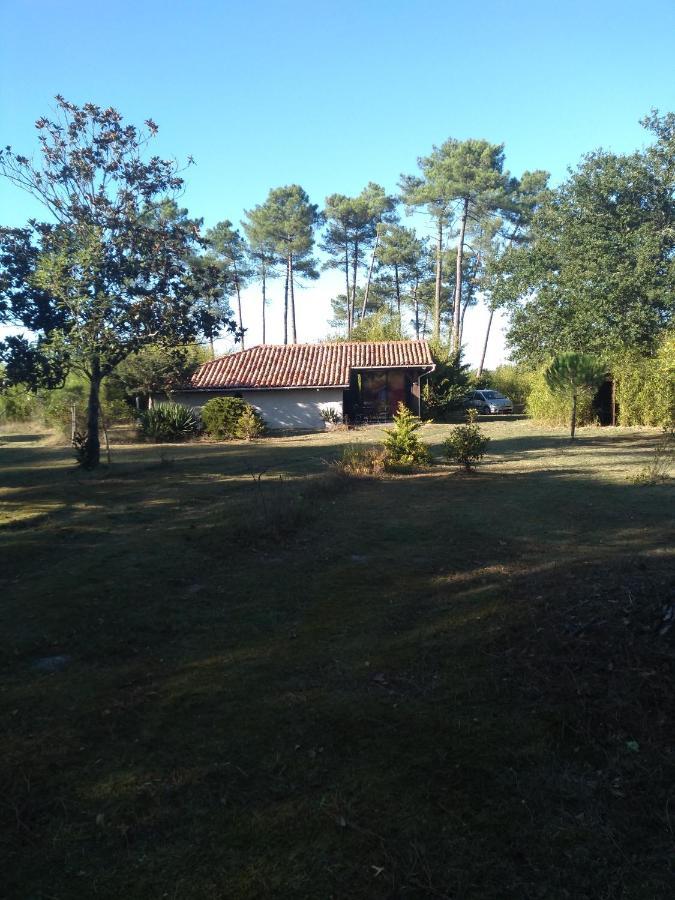 Maison confort avec cheminée , 2 chambres , sur un parc de 4000m2 arboré et clos Pissos Esterno foto