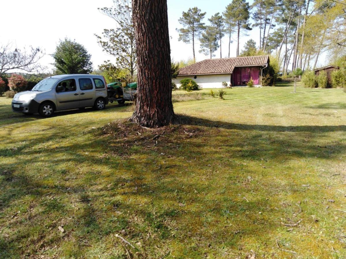 Maison confort avec cheminée , 2 chambres , sur un parc de 4000m2 arboré et clos Pissos Esterno foto