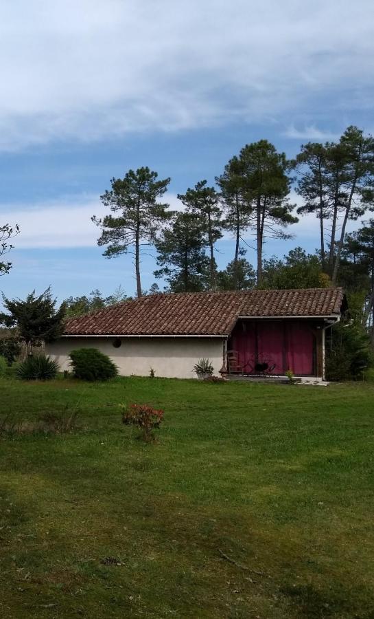 Maison confort avec cheminée , 2 chambres , sur un parc de 4000m2 arboré et clos Pissos Esterno foto